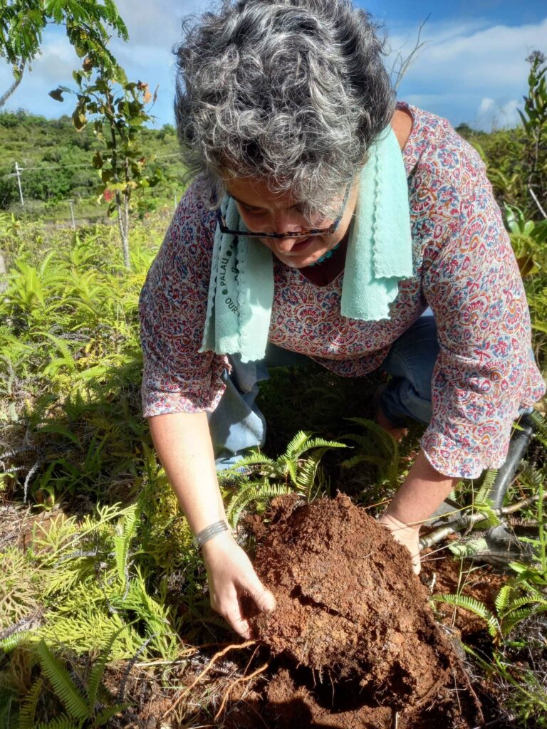 Restoring Soil Health